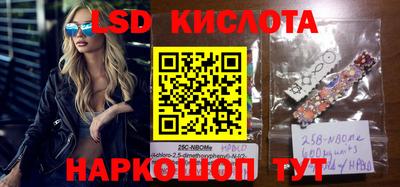 прущие грибы Кимры