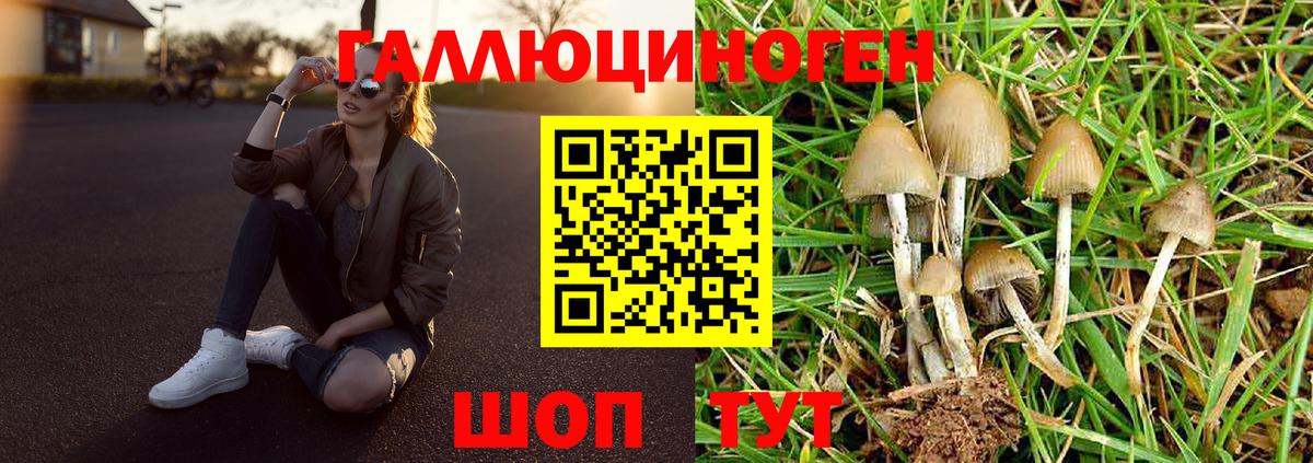 Галлюциногенные грибы GOLDEN TEACHER  даркнет сайт  Вход с VPN  Благовещенск  Псилоцибиновые грибы мухоморы 
